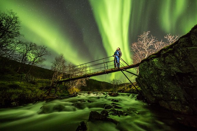 Northern Lights